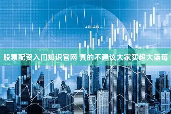 股票配资入门知识官网 真的不建议大家买超大蓝莓